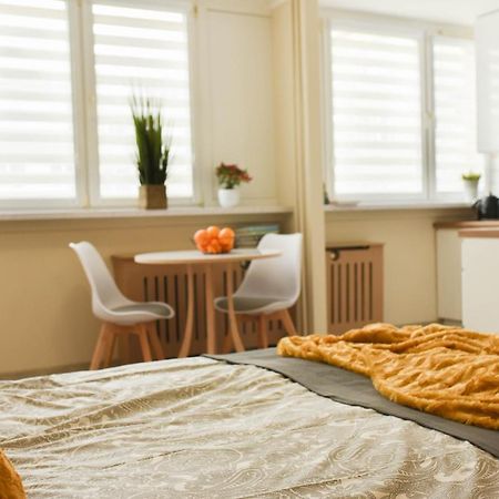 Apartament Studio Klasztorna Dzierżoniów Εξωτερικό φωτογραφία
